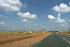 090509_South_Africa 023